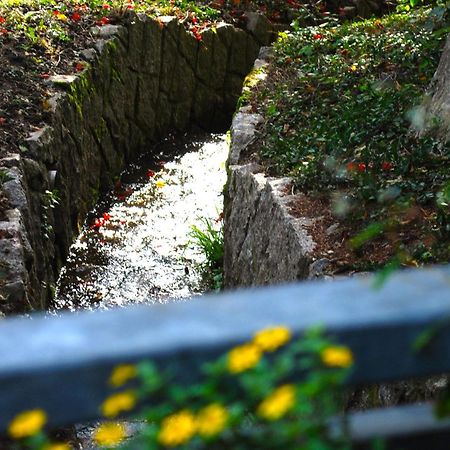 Ferienwohnung Wanderschoen Sasbachwalden Zewnętrze zdjęcie