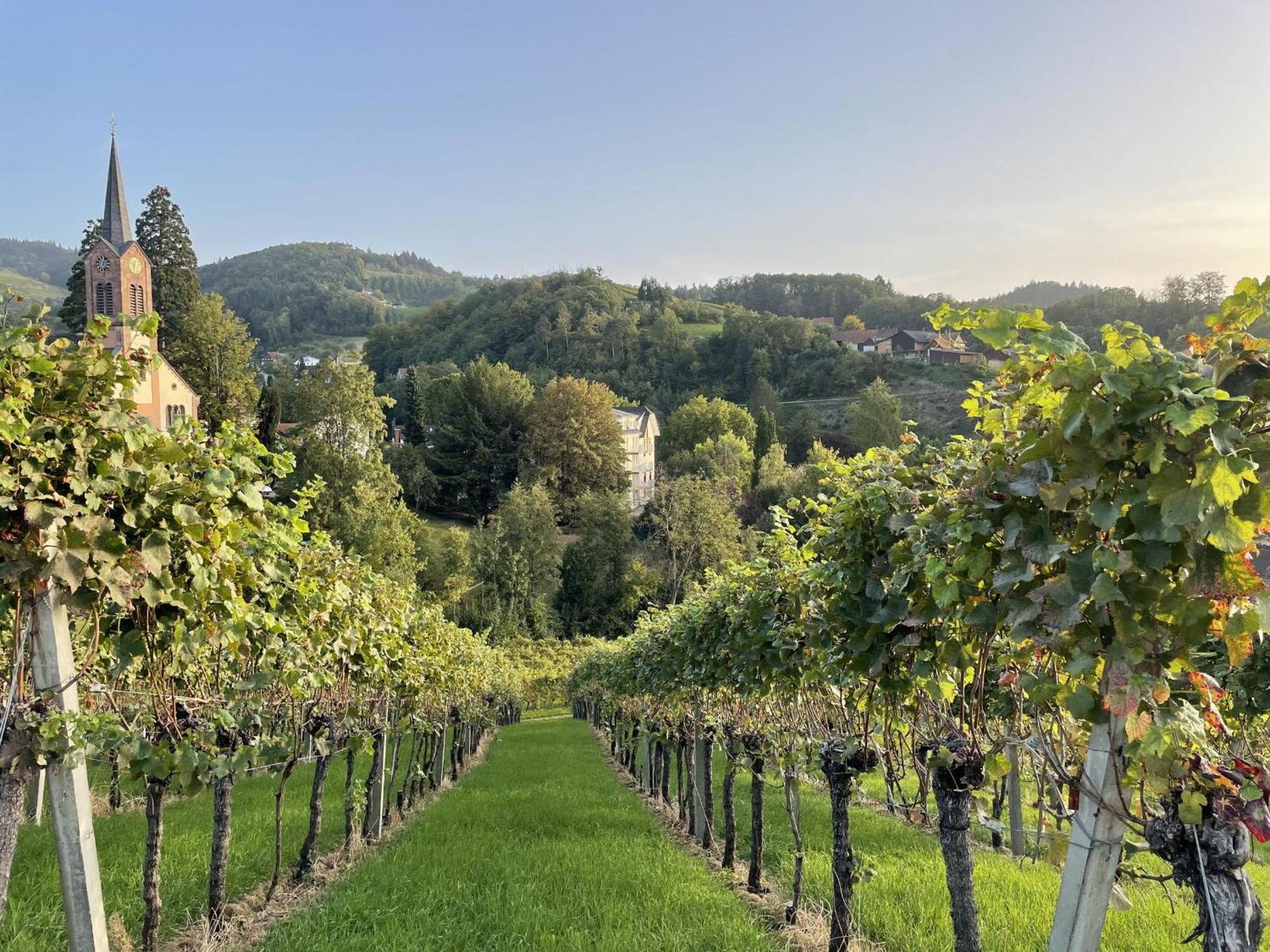 Ferienwohnung Wanderschoen Sasbachwalden Zewnętrze zdjęcie