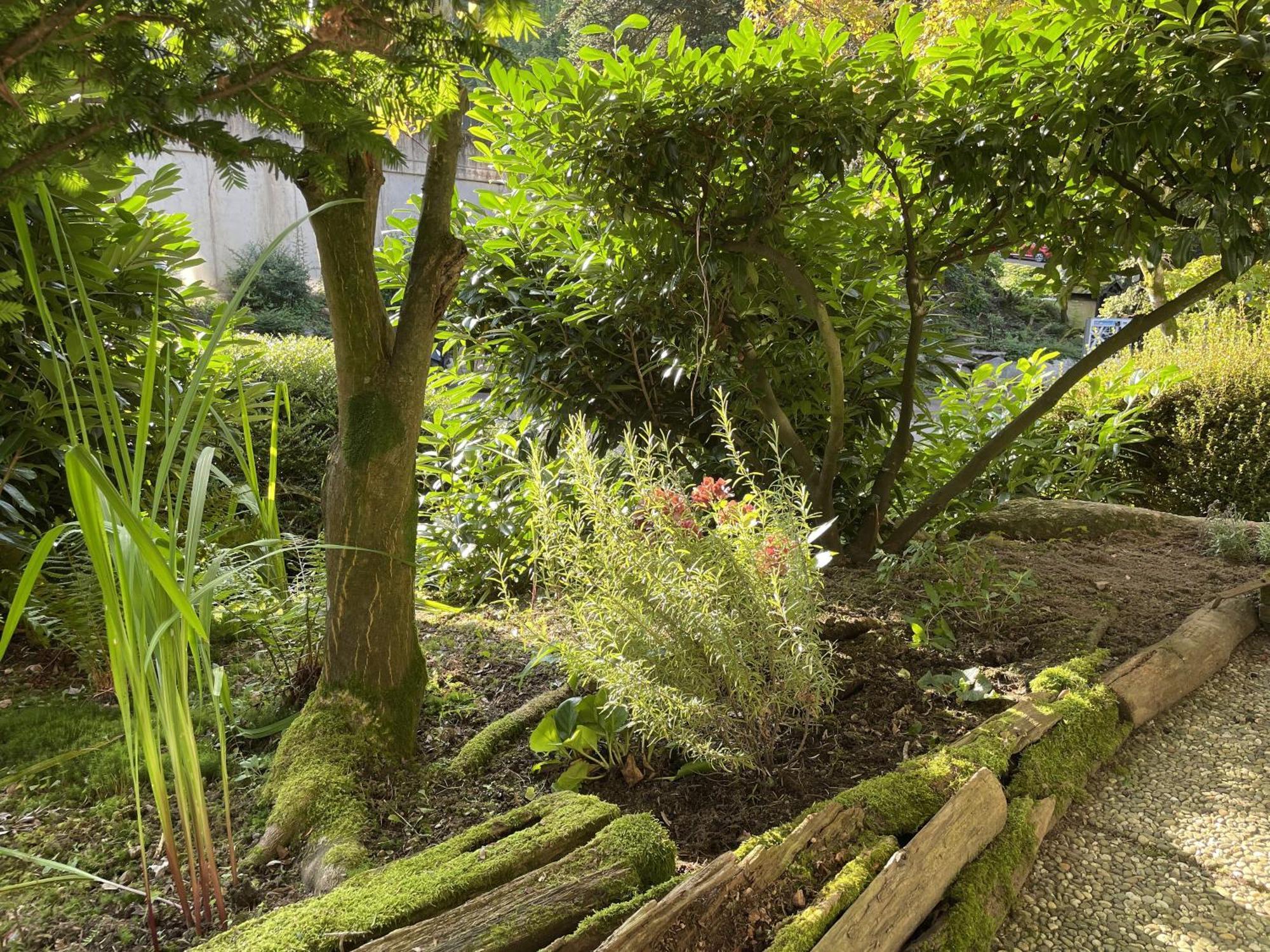 Ferienwohnung Wanderschoen Sasbachwalden Zewnętrze zdjęcie